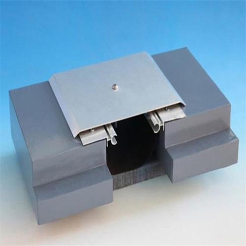 廠(chǎng)家定制鋁合金建筑變形縫外墻伸縮縫墻面變形縫可定制不銹鋼蓋板